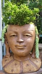 Flowering Buddha